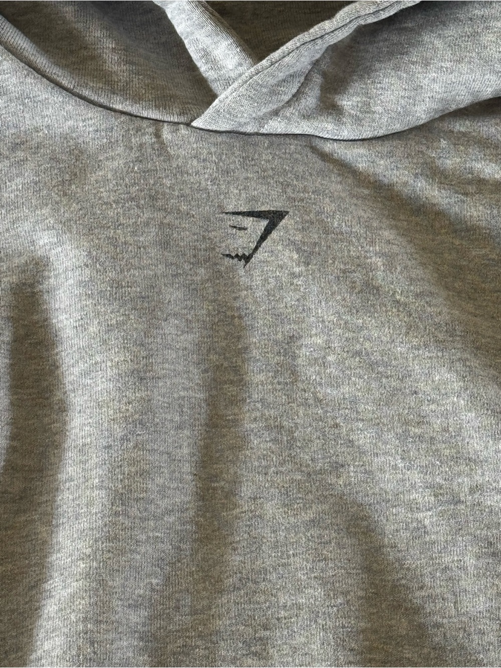 Gymshark Women’s Grey Pullover Hoodie - “it’s bulking season”